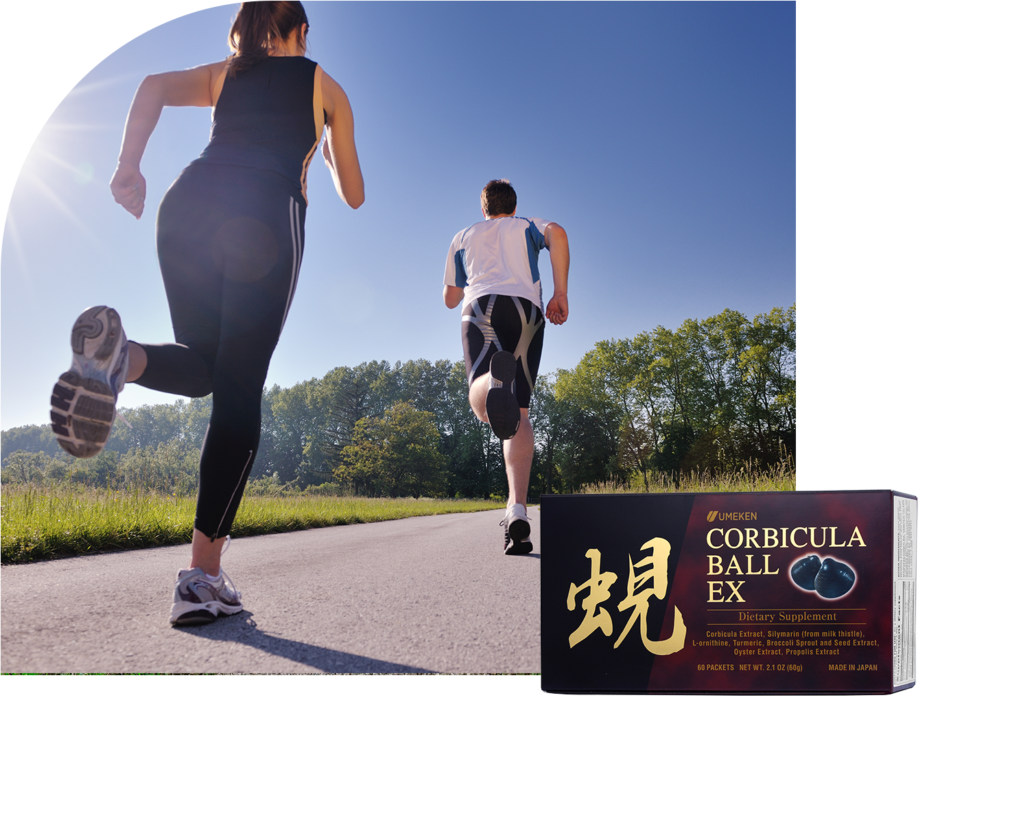 With 8 liver-friendly ingredients, Corbicula Ball EX helps support liver health and may help decrease fatigue.