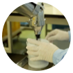 lab