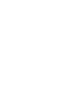 The Heart