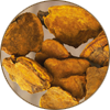 Phellinus Linteus
