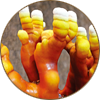 Rokkaku Reishi