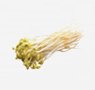 bean-sprouts