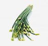 chinese-chives