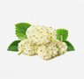 fruits-16-white-mulberry
