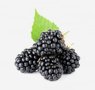 fruits-18-blackberry