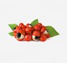 fruits-20-guarana