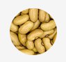 grains-3-jalo-bean