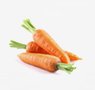 vegetables-2-carrot