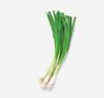 vegetables-26-welsh-onion