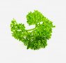 vegetables-36-parsley