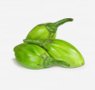 vegetables-37-jilo