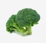 vegetables-6-broccoli