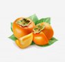 fruits-12-persimmon