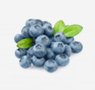 fruits-13-blueberry