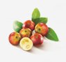 fruits-17-camucamu