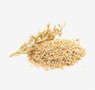 grains-4-oat