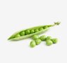 grains-5-pea