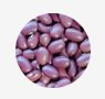 grains-6-roxinho-bean