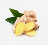 herbs-seaweeds-3-ginger