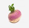 vegetables-15-trunip