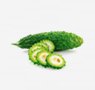 vegetables-22-bitter-melon