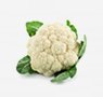 vegetables-23-cauliflower