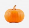 vegetables-30-pumpkin