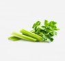 vegetables-38-celery