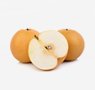 fruits-10-pear