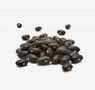 grains-11-black-bean