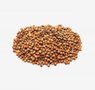grains-14-lentil