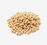 grains-9-soybean