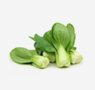 vegetables-14-bok-choy