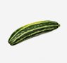 vegetables-19-zucchini