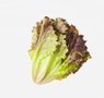 vegetables-31-red-leaf-lettuce