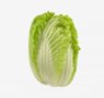 vegetables-4-napa-cabbage