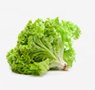 vegetables-8-lettuce