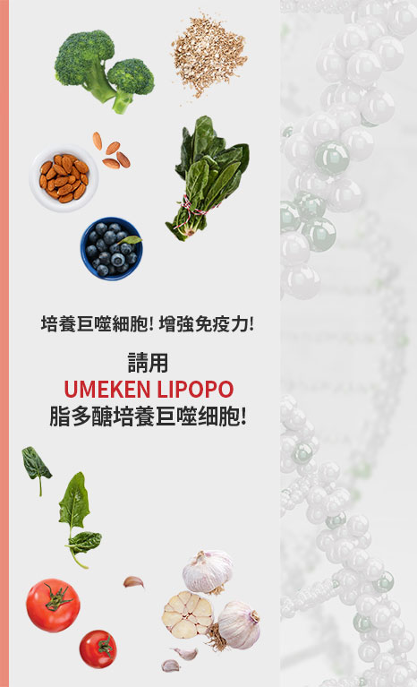 Lipopo Detail images 2