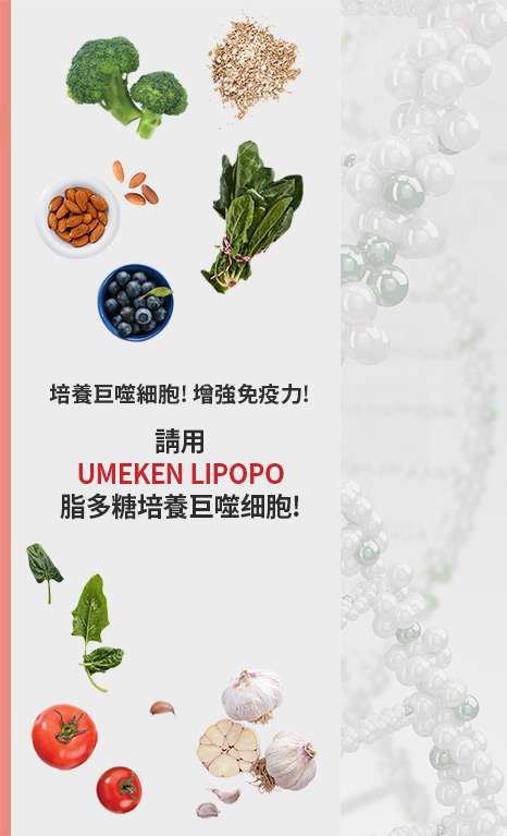 Lipopo material
