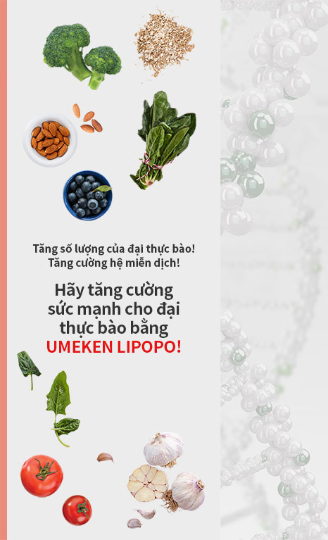 Lipopo material