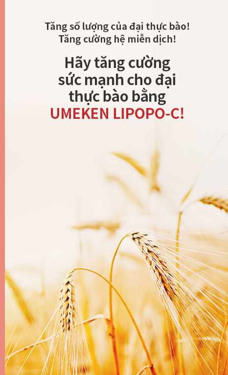 Lipopo material