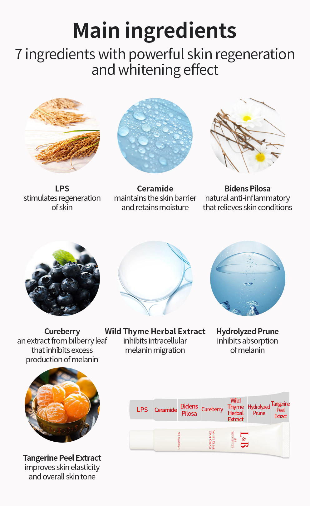 LNB white spot cream3