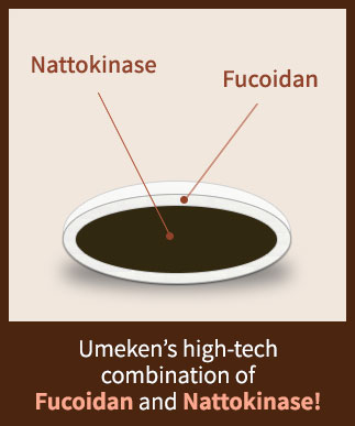 Nattokinase fucoidan