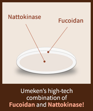Nattokinase fucoidan