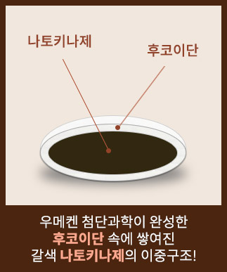 나토키나제 후코이단