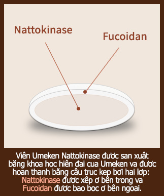 Nattokinase Fucoidan