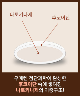 나토키나제 후코이단