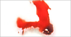 Nattokinase 2