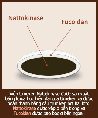 Nattokinase Fucoidan
