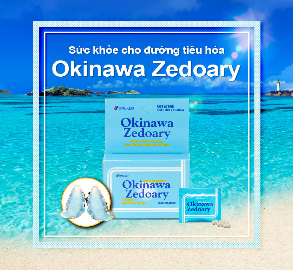 Okinawa Zedoary